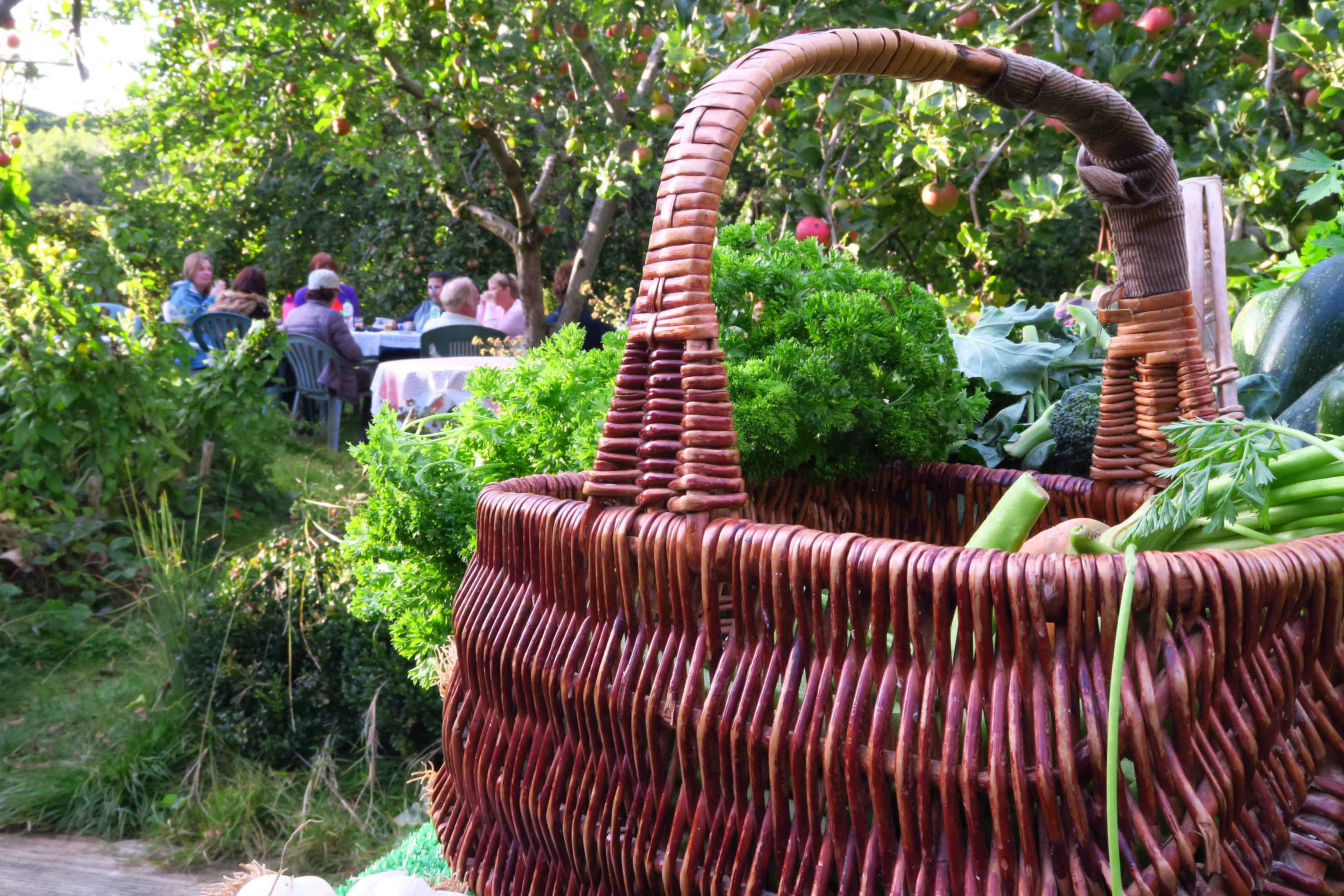 Basket and group in the orchard after a farm walk