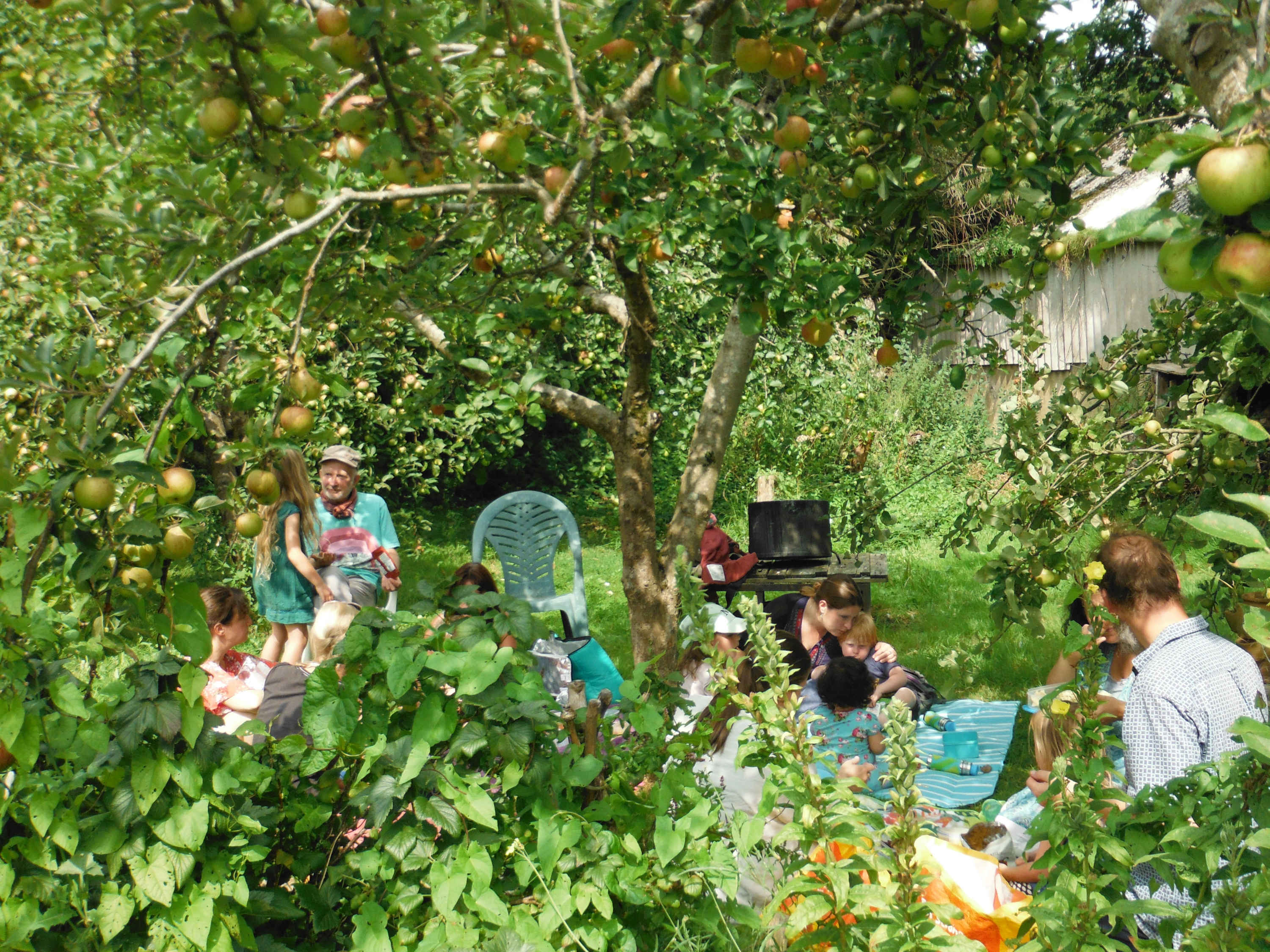 Group in orchard seen through trees